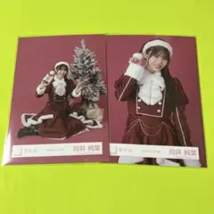 櫻坂46 2025年 サンタ衣装　向井純葉
