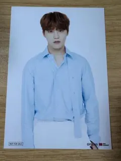 SEVENTEEN ミュージアム　ディノ　フォト