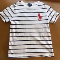 Polo Ralph Lauren ストライプTシャツ 7号