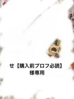 kr5. 購入前にプロフ必読下さい。 せ【購入前プロフ必読】専用 - メルカリ