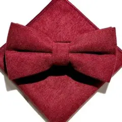 ☆イベント　婚礼　挙式　蝶ネクタイ　ボルドー　赤　レッド　結婚式0kdx