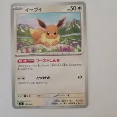 ポケモンカード MC イーブイ