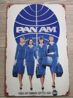 パンナム　パンアメリカン航空　スチュワーデスバッジ　ビンテージ PAN AM パンナム 1950年代 キッズ用ウィングバッジ