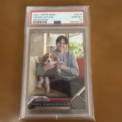 超貴重】PSA 2018 Stadium Club Shohei Ohtani - メルカリ