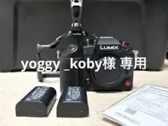 Panasonic LUMIX DC-GH5 ボディ DCカプラー vlog-L - メルカリ