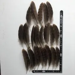 Item thumbnail for item aacd5e12-46e6-4919-9c96-64a03825c81a