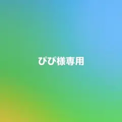 ぴぴ様専用ページ