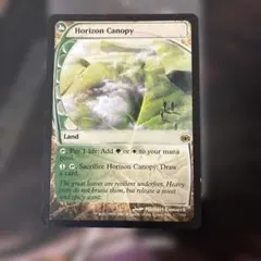 Item thumbnail for item c7cb1952-0bdf-4700-b573-559e9b51e6df