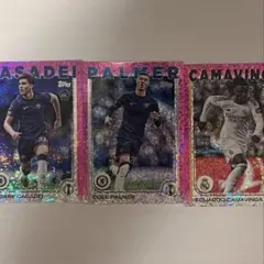 Item thumbnail for item 7d481646-016d-4ceb-9c96-4d4c112a76d7