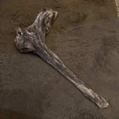 Item thumbnail for item 5fe7cb3c-4259-48fc-933b-a111a65841fc