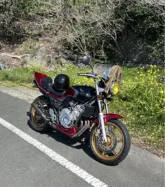 XJR400R 羽根テール 純正色塗装済み - メルカリ