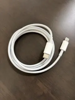 純正品 iPhone Apple ライトニングケーブル タイプC 充電器 急速
