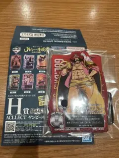 一番くじ ワンピース ロジャー海賊団～伝説の海賊～ H賞　ゴールド・ロジャー