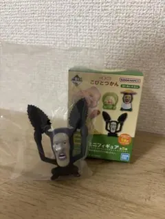 こびとづかん 一番くじ　アラシクロバネ