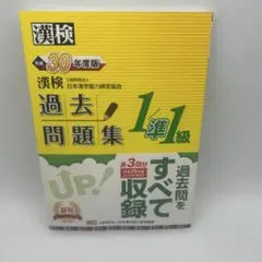 漢検 1/準1級 過去問題集 平成29年度版 - メルカリ