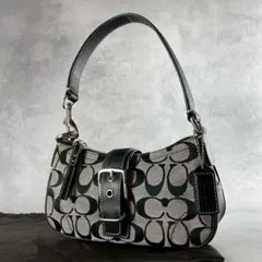 COACH Soho Signature Accessory Poach Y2K