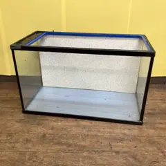 ニッソー 60cm 4角ガラス水槽かなり綺麗です - メルカリ