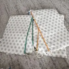 Item thumbnail for item 555c1212-6a4d-4e39-a06c-51533dfd2b3d