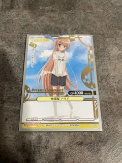 【限定】スリーブ　緋弾のアリア　アリア&レキセット 2025年最新】緋弾のアリア スリーブの人気アイテム - メルカリ