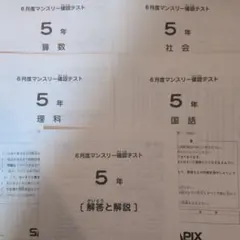 2026年最新】sapix 6年 理科の人気アイテム - メルカリ