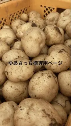ゆあさっち様　専用ページ