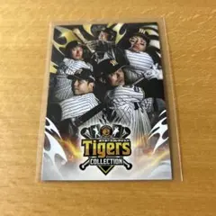 Item thumbnail for item f5126061-a3c1-4402-ae39-a46906172199