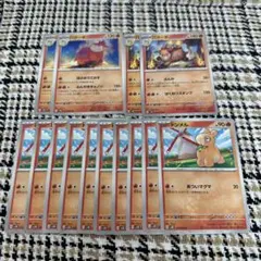 バクーダ　4枚 ドンメル　10枚