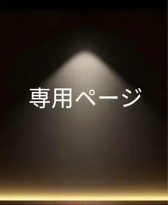 專用