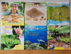ひかりのくに こどもとしぜん 2025年 絵本セット 4月～9月 6冊セット