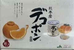 S*o様 熊本産 デコポン 缶詰 6缶セットのサムネイル