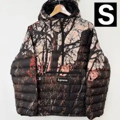 Item thumbnail for item 7f8ed8d3-b47c-4441-ac20-a36c3e639b9f