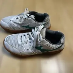 ミズノ体育館シューズ　24cm