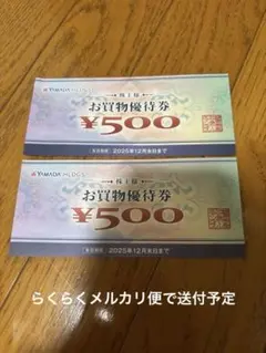 ヤマダ電機YAMADA HLDGS 株主優待　お買物優待券 ¥500×2枚