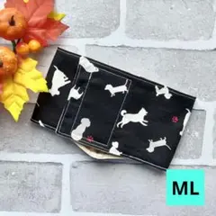 Item thumbnail for item 38d04bd2-d887-48f4-b003-7b38b0b519a2