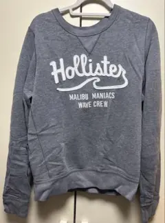 HOLLISTER ホリスター 刺繍ロゴ スウェット/パーカー グレー