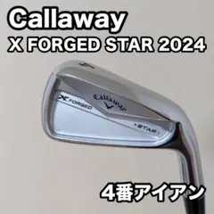 2026年最新】xフォージドスター 4番の人気アイテム - メルカリ