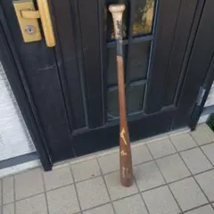 Item thumbnail for item 46a59695-7772-4621-b2e0-e6afcb65e8dc