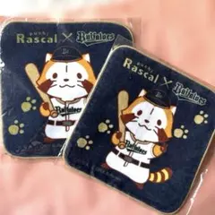新品 オリックスバファローズ あらいぐまラスカル コラボ ハンドタオル 2枚