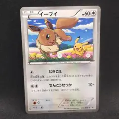 2026年最新】プロモーションカード イーブイ ピカチュウ