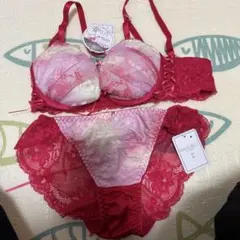 SHAKE BODY ブラジャー ショーツ セット Mのサムネイル
