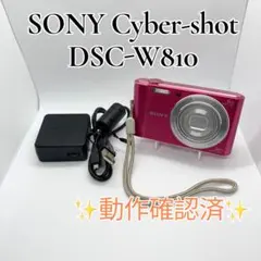 極美品】SONY DSC-WX100 コンデジ ブラウン 動作確認済み 箱付き