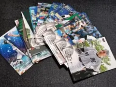 BBM 2025 1st 千葉ロッテマリーンズ　まとめ売り