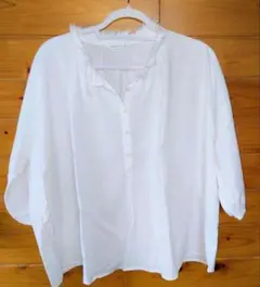 【Studio Clip】 フリル襟 7部袖 Aラインシャツブラウス