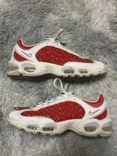 Nike Air Max supreme