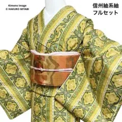 未使用近い　美品　袷　正絹　紬　信州紬系　小紋　フルセット