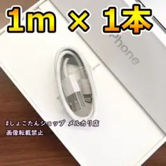 ipad ケーブル 純正 対応 正規品 同等 充電機 1本