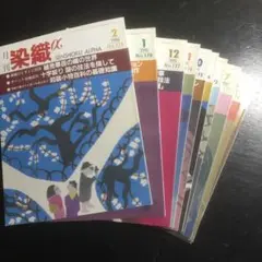 月刊染織α10冊