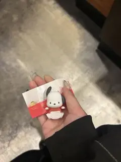 サンリオヒッパーズ　ポチャッコ