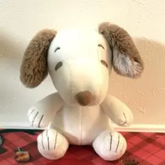 さき様 リクエスト 3点 まとめ商品