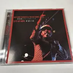 Item thumbnail for item 59b2b501-54b5-461d-96f6-aa2e75c168e9